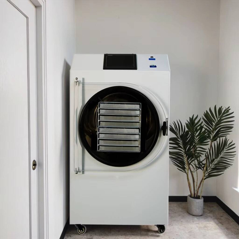 Automatic PLC-Controlled Dryin - Dried Fruit 评论和价格