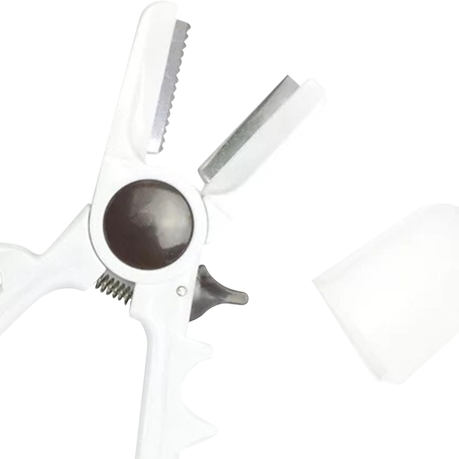 Manual Chestnuts Cracker Tool  - Dried Fruit 评论和价格