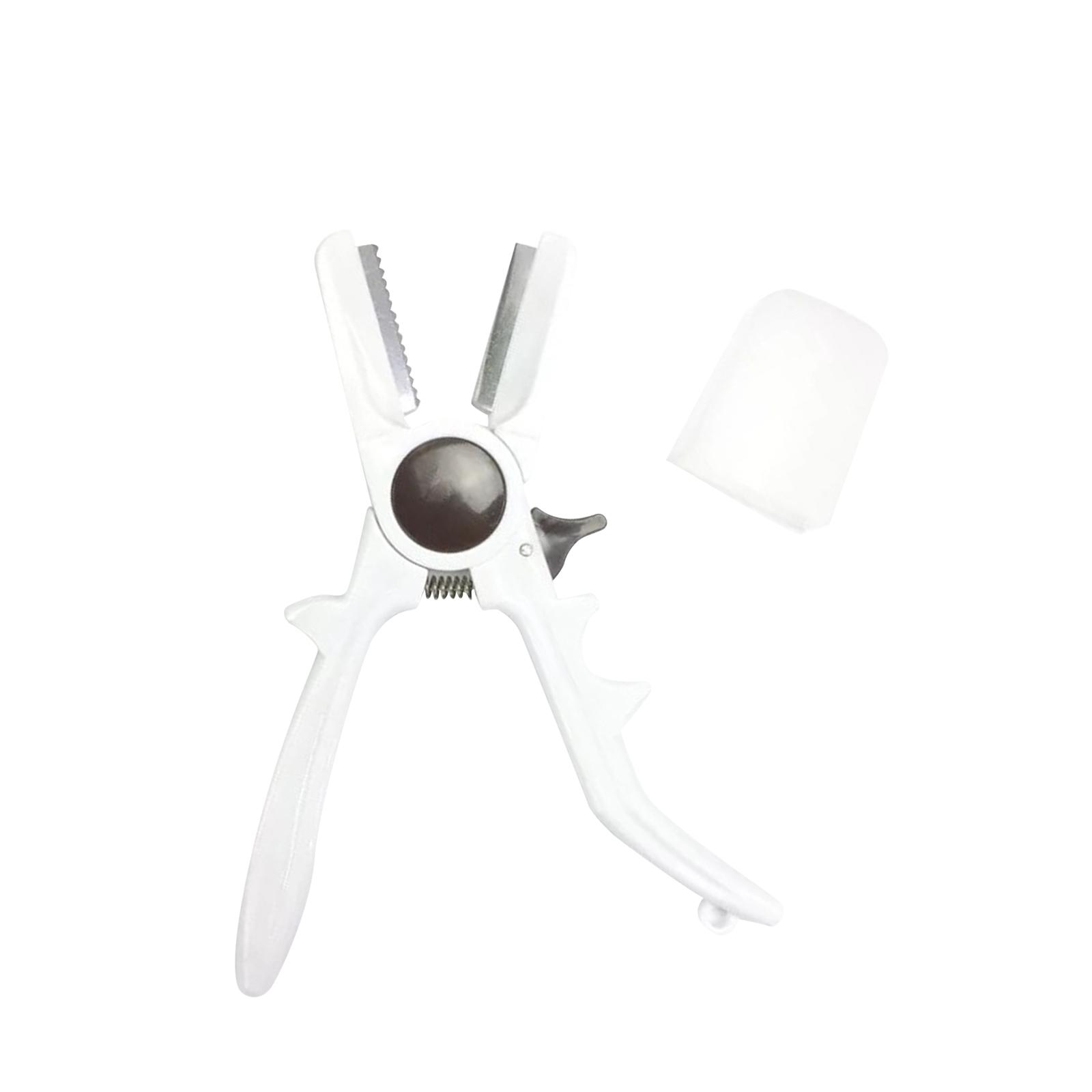 Manual Chestnuts Cracker Tool  - Dried Fruit 评论和价格